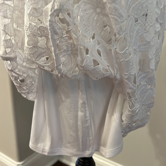 Express Floral Lace MIDI Dress - Picture 8 of 12